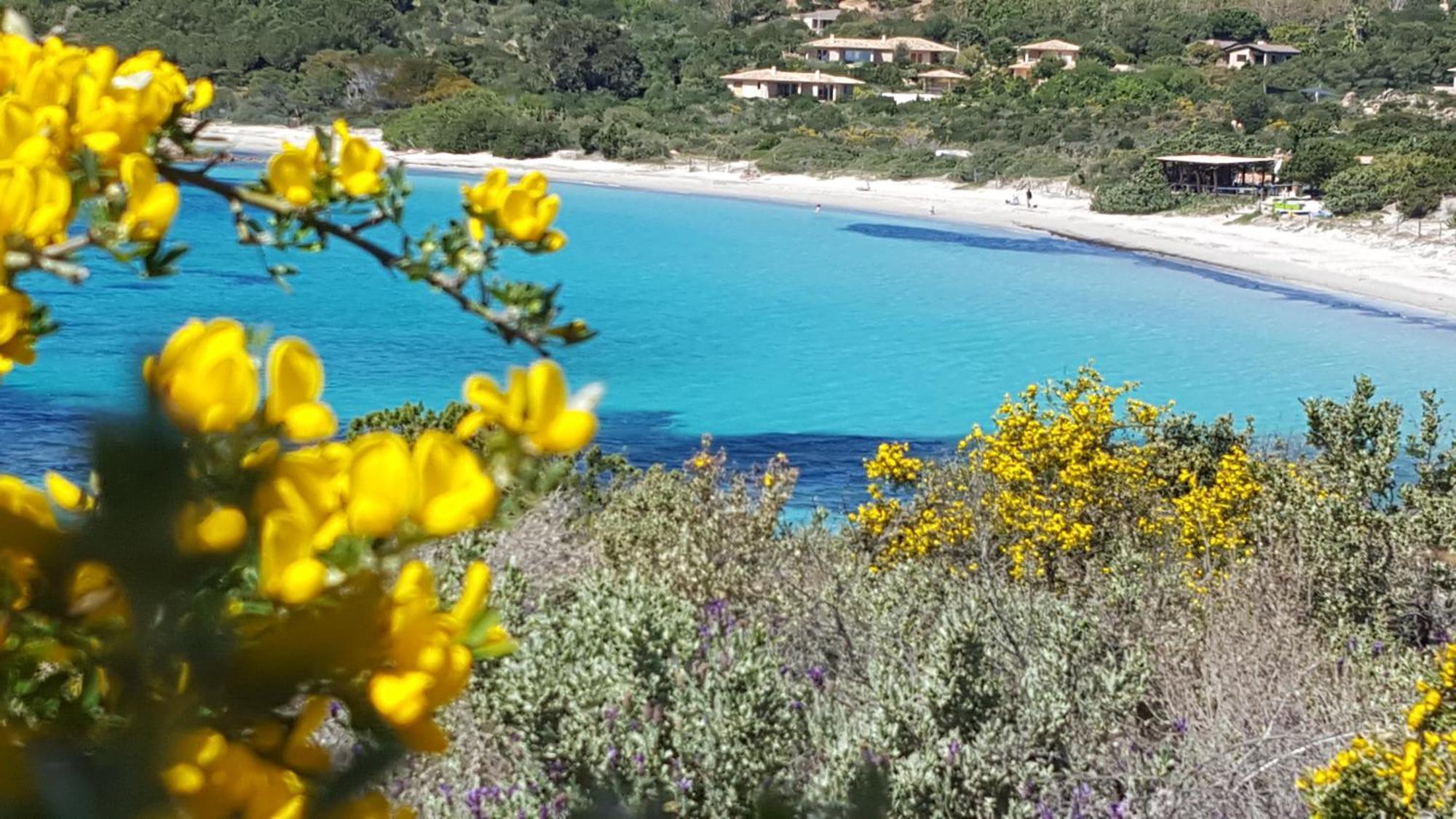 Locations Residence Rocca Rossa Palombaggia Classees 3 Etoiles Porto-Vecchio  Exterior foto